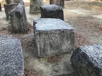 大阪城公園の写真・動画_image_112414
