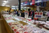 鯛祭り広場の写真・動画_image_112581