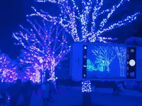 青の洞窟 SHIBUYAの写真・動画_image_112605