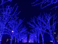 青の洞窟 SHIBUYAの写真・動画_image_112608
