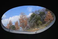 豊島美術館の写真・動画_image_112837