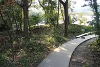 豊島美術館の写真・動画_image_112838