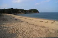 心臓音のアーカイブの写真・動画_image_112839