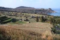 豊島の写真・動画_image_112844