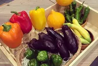 キフルーツ トーキョー KIFRUITS TOKYOの写真・動画_image_112872