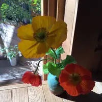PADDLERS COFFEE（パドラーズコーヒー）西原本店の写真・動画_image_113015