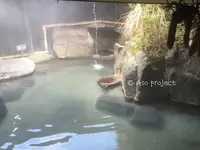 いやしの里 樹やしきの写真・動画_image_113048