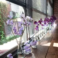 青山フラワーマーケット ティーハウス 南青山本店 （Aoyama Flower Market TEA HOUSE）の写真・動画_image_113063