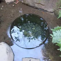 明治神宮の写真・動画_image_113155
