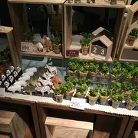 AWESOME STORE TOKYO（オーサムストアトウキョウ）の写真・動画_image_113209