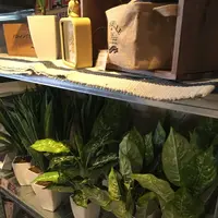 AWESOME STORE TOKYO（オーサムストアトウキョウ）の写真・動画_image_113211