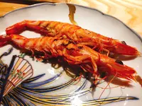 ワイン食堂 トキワの写真・動画_image_113266