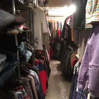 パセリの写真・動画_image_113312