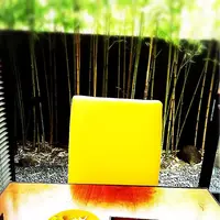 神山 （カミヤマ【旧店名】清山）の写真・動画_image_113353