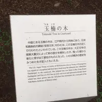 横浜開港資料館の写真・動画_image_113501