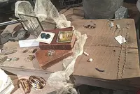 ピボワンヌ （pivoine） の写真・動画_image_113526