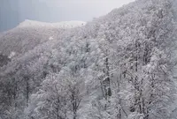 蔵王ロープウェイの写真・動画_image_113660
