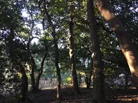 小石川植物園の写真・動画_image_113765