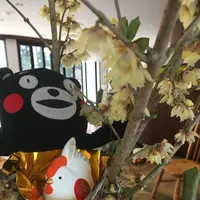 阿蘇白水郷美術館の写真・動画_image_113792