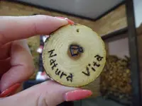 まかいの牧場の写真・動画_image_113914