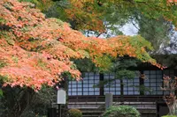 中院の写真・動画_image_113925