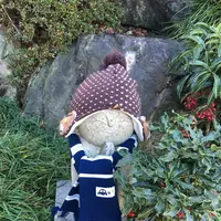 宝徳寺の写真・動画_image_113937