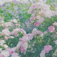 港の見える丘公園の写真・動画_image_113956
