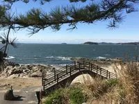 橋田鼻の写真・動画_image_114074