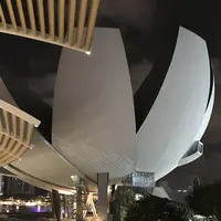 ArtScience Museumの写真・動画_image_114139
