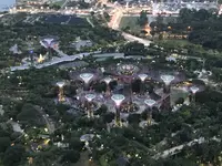 ガーデンズ・バイ・ザ・ベイの写真・動画_image_114148