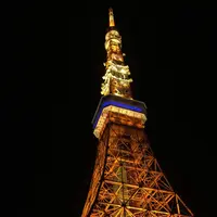 東京タワーの写真・動画_image_114186