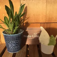 ナチュリノの写真・動画_image_114203