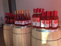 山元いちご農園の写真・動画_image_114210