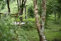 cafe Karinの写真・動画_image_114247