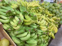 ドンキホーテ ホノルルの写真・動画_image_114479