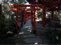 來宮神社の写真・動画_image_114550
