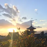 地主神社の写真・動画_image_114590