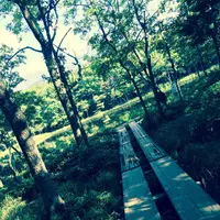 知床五湖の写真・動画_image_114691