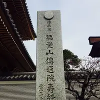 伝通院の写真・動画_image_114947