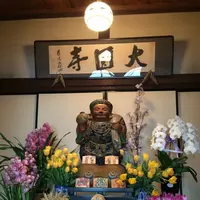 大円寺　の写真・動画_image_114964