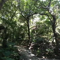 斎場御嶽の写真・動画_image_115007