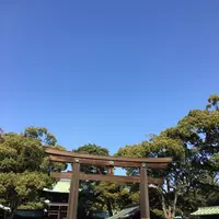 明治神宮の写真・動画_image_115073