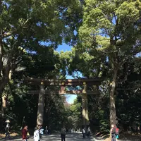 明治神宮の写真・動画_image_115075