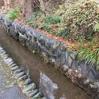 深大寺の写真・動画_image_115179