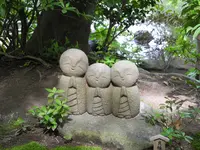 長谷寺の写真・動画_image_115193