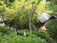 長谷寺の写真・動画_image_115197