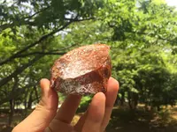 清澄公園の写真・動画_image_115200