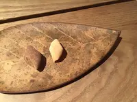 コルツの写真・動画_image_115269