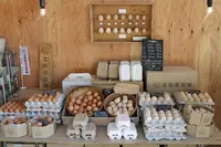 北坂養鶏場の写真・動画_image_115377