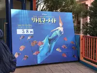 四季劇場〔夏〕の写真・動画_image_115438
